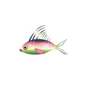 Chroma Fish 3